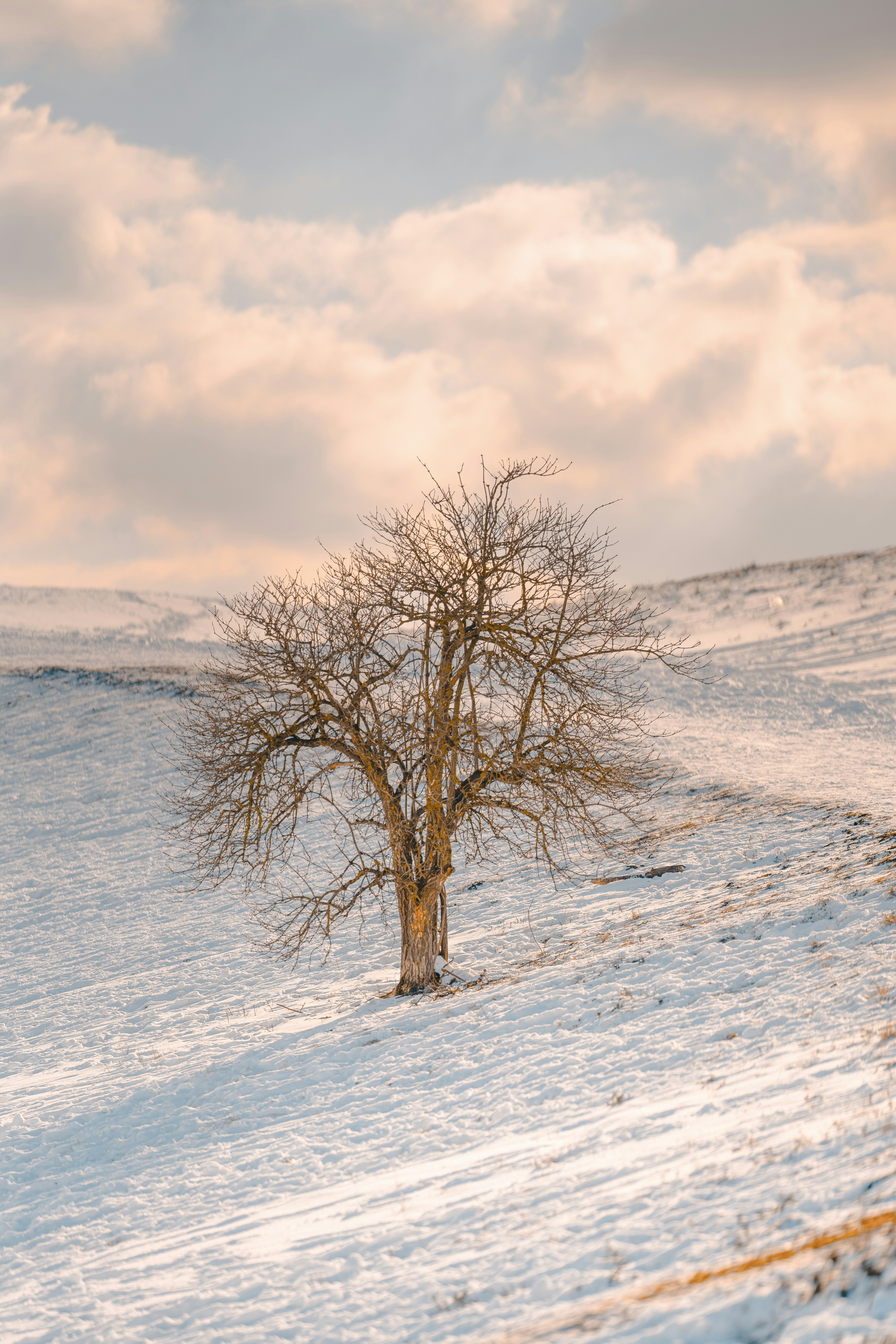 Photo by omarvellous14