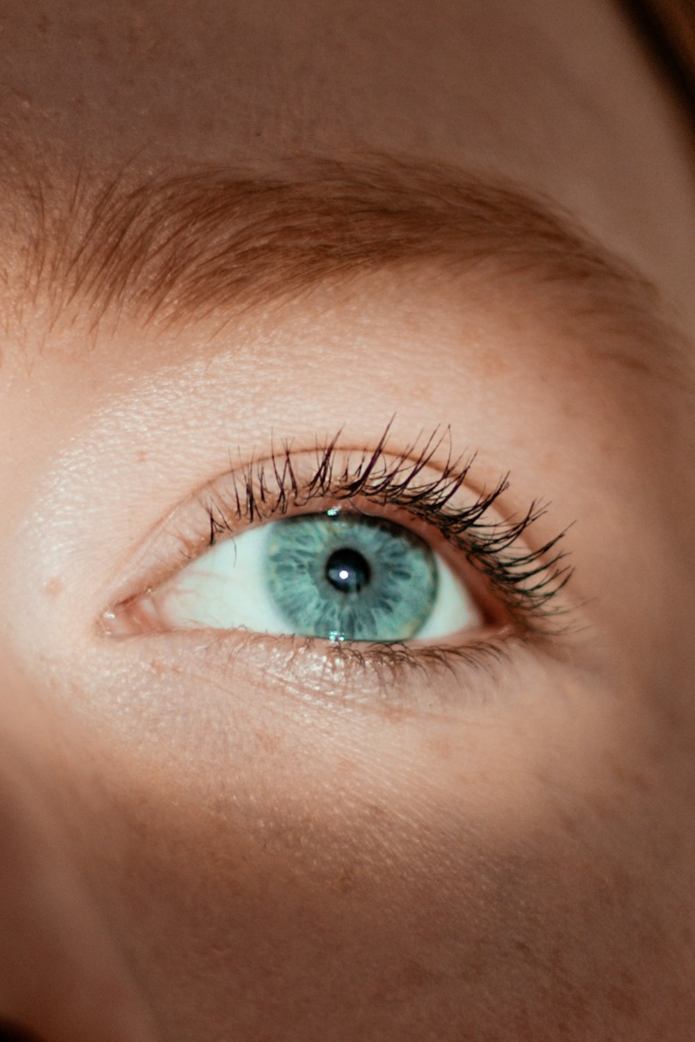 personnes œil vert dans la photographie en gros plan