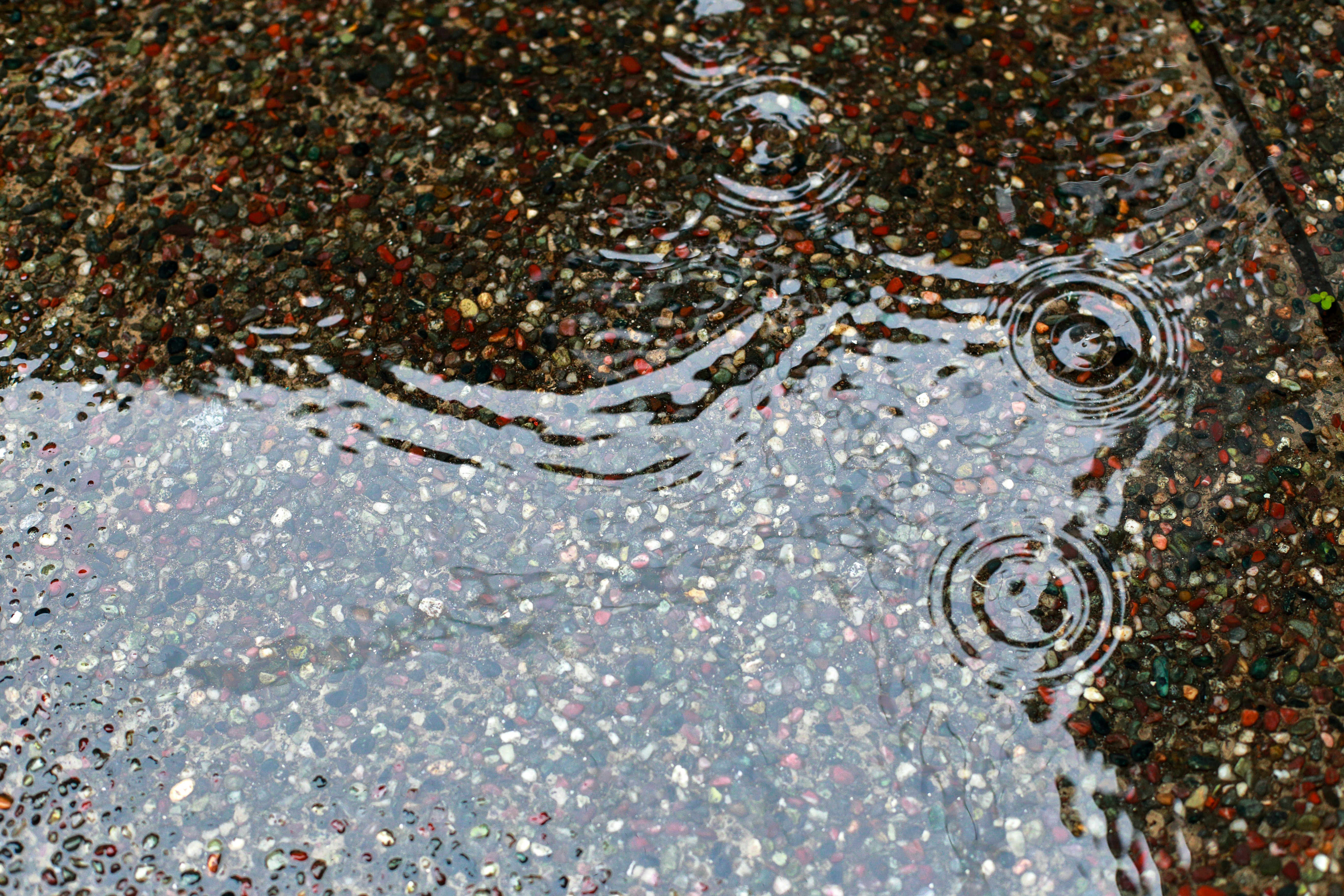 Rainwater Collected in Buckets