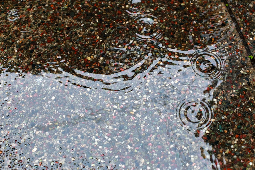 silver round accessory on gray surface