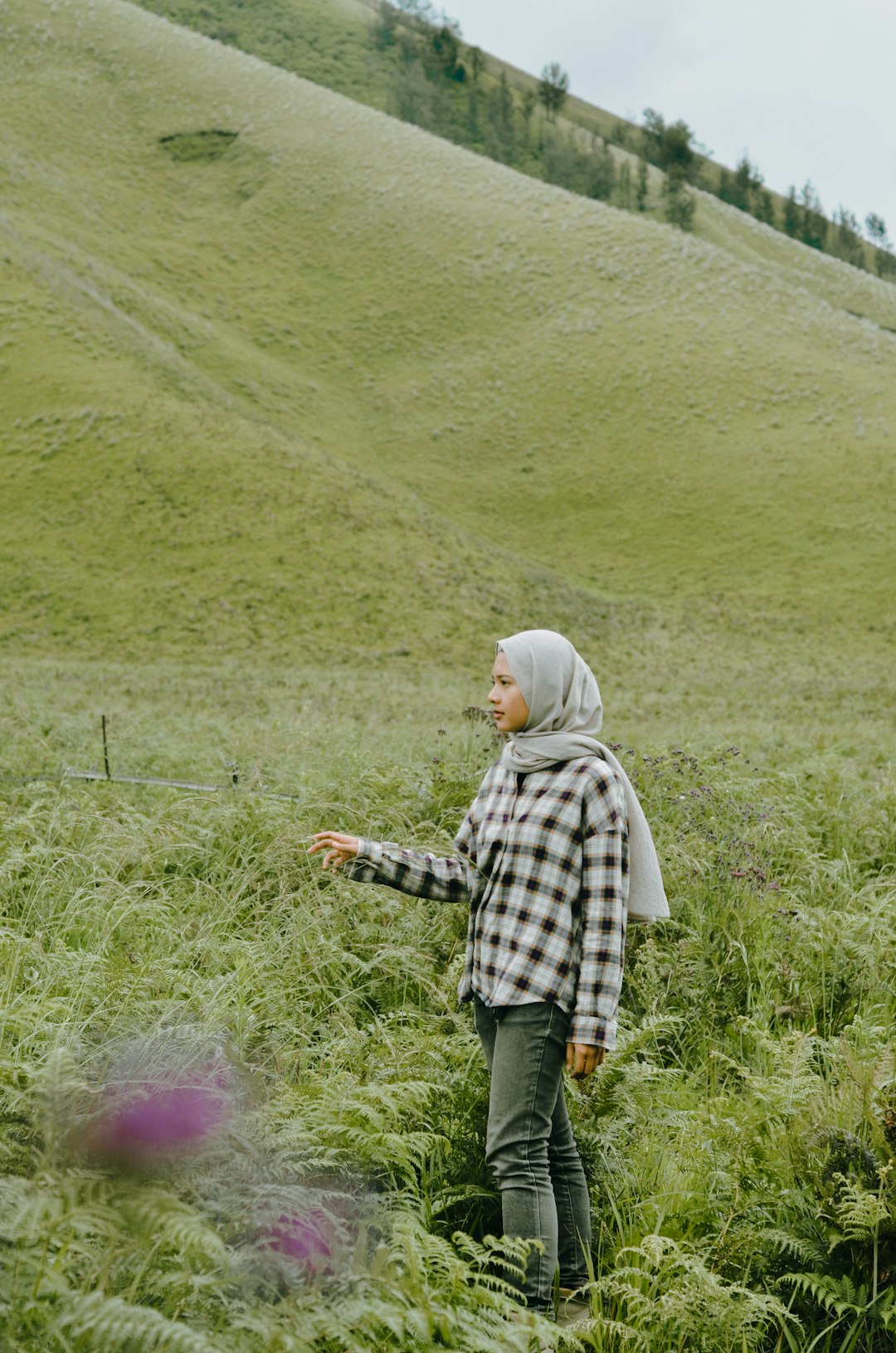 Ecoregion photo spot Mount Bromo Situbondo Regency