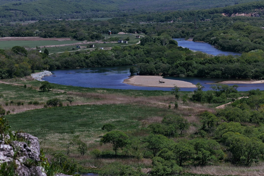 green grass field near body of water during daytime