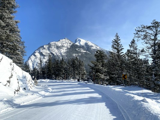 Cascade Mountain plastered in snow rising above snow-laden conifers under a deep blue sky in Banff