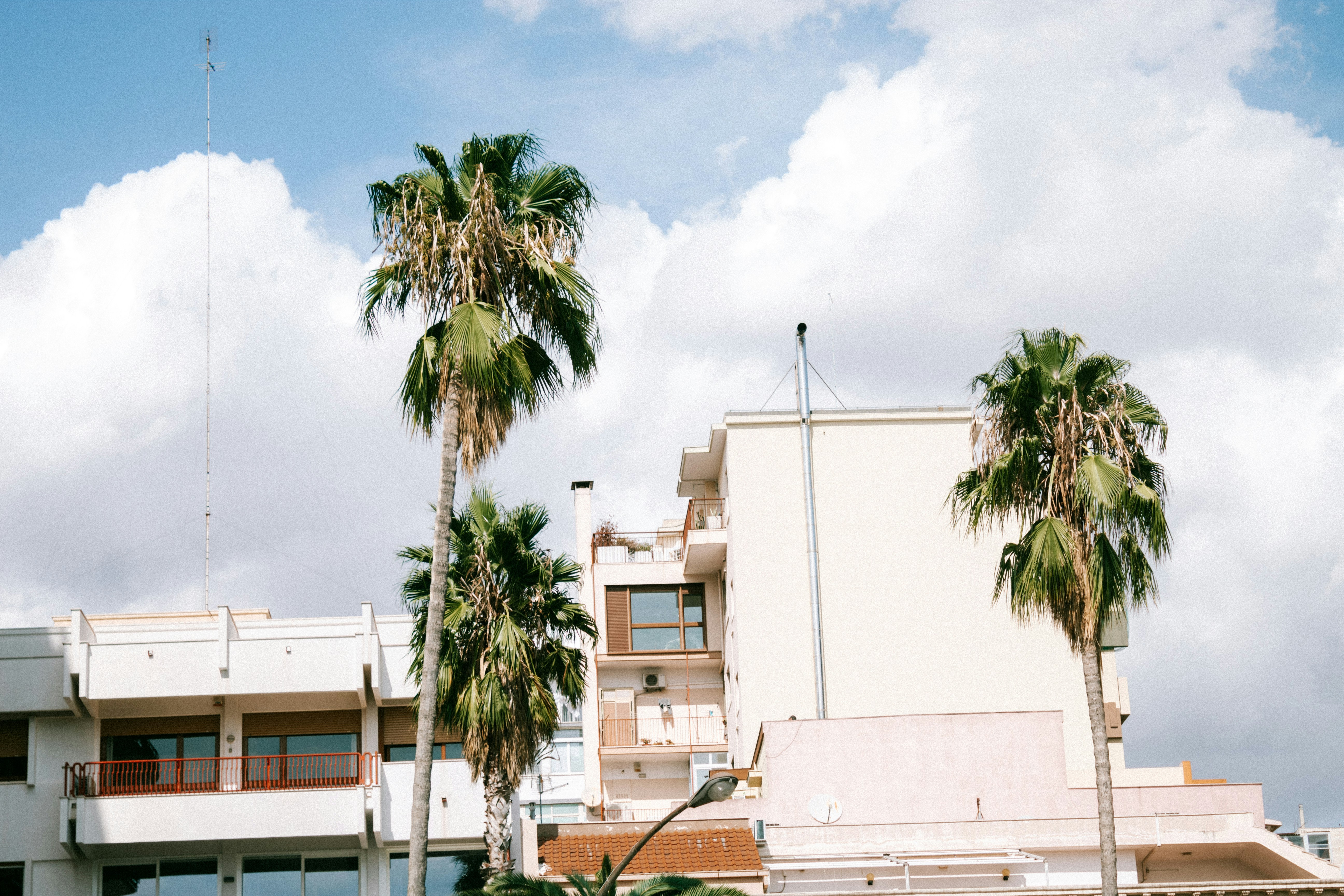 Photo by karinahalley