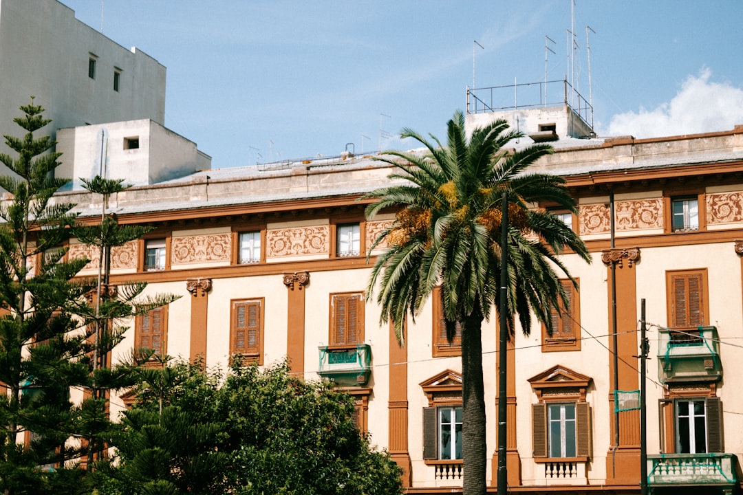 green palm tree near beige concrete building