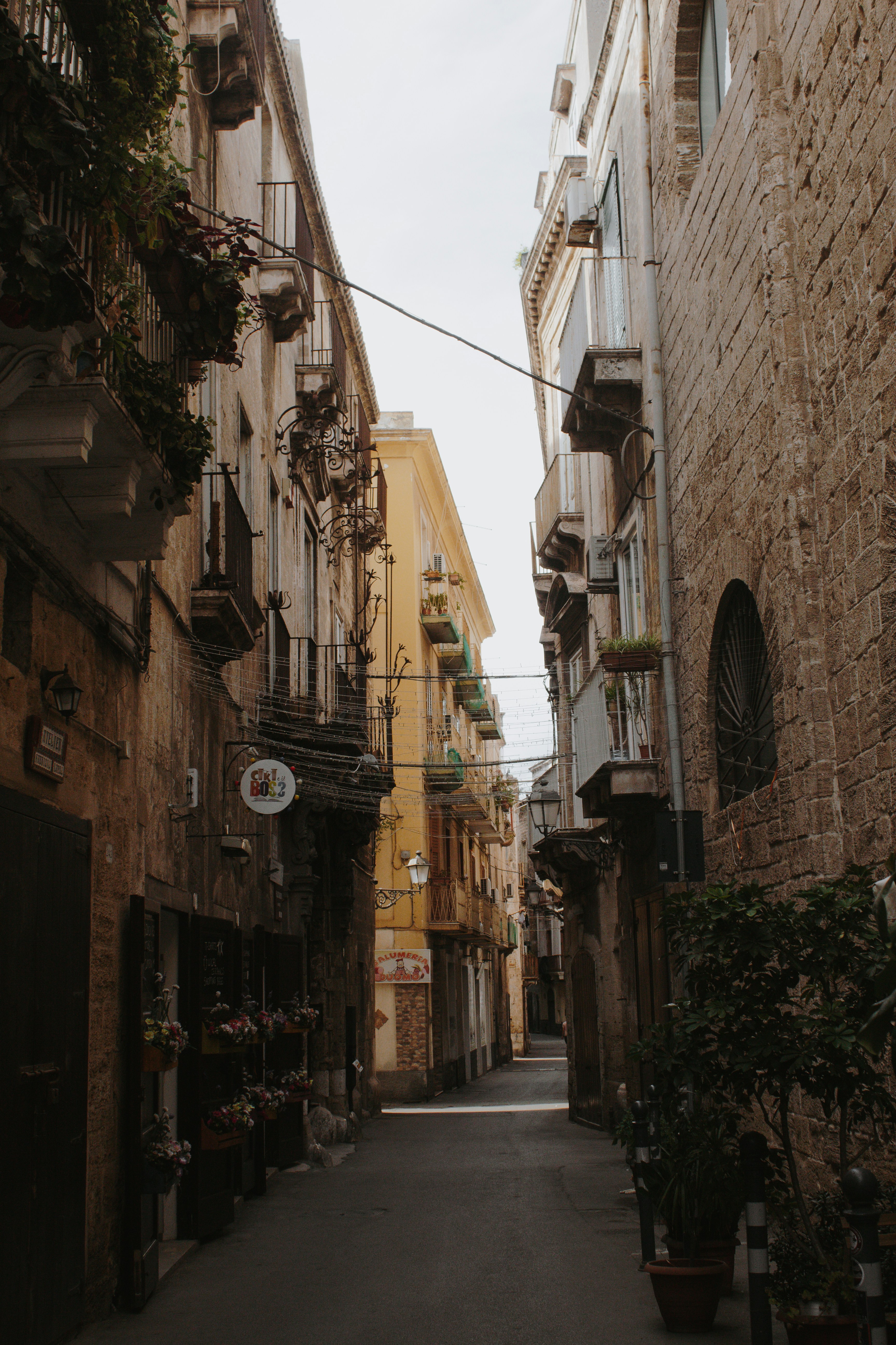 Photo by karinahalley