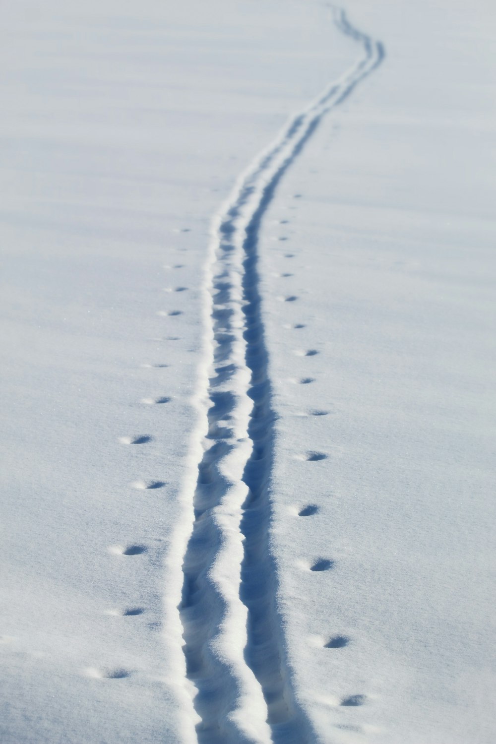 white snow on white sand