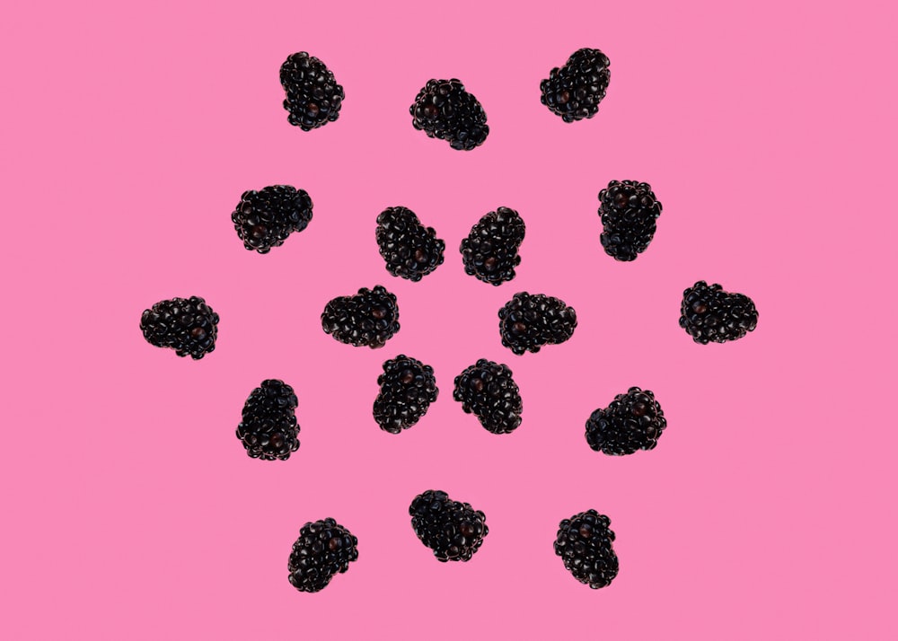 pink and black flower petals