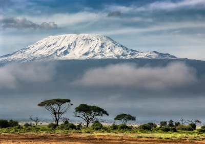 Hochzeitsreise Kenia Amboseli Nationalpark Blick auf Kilimanjaro 