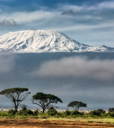 green trees near snow covered mountain during daytime