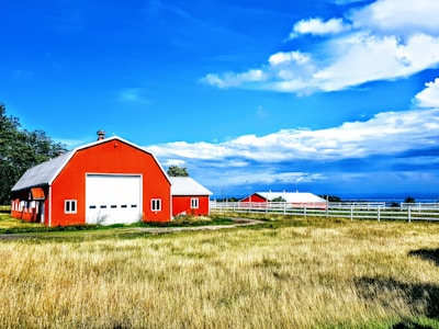 red and white barn house on brown grass field under blue sky during daytime