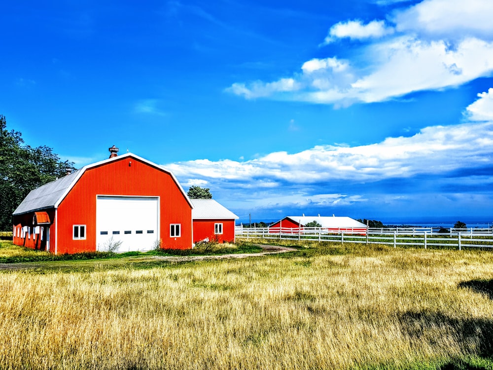 casa de celeiro vermelha e branca no campo de grama marrom sob o céu azul durante o dia