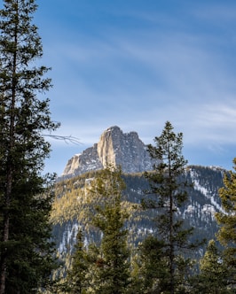 green pine trees near brown rocky mountain under white clouds and blue sky during daytime