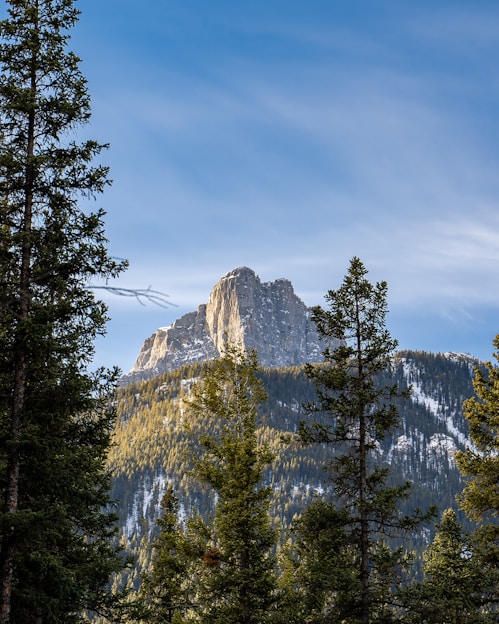 green pine trees near brown rocky mountain under white clouds and blue sky during daytime