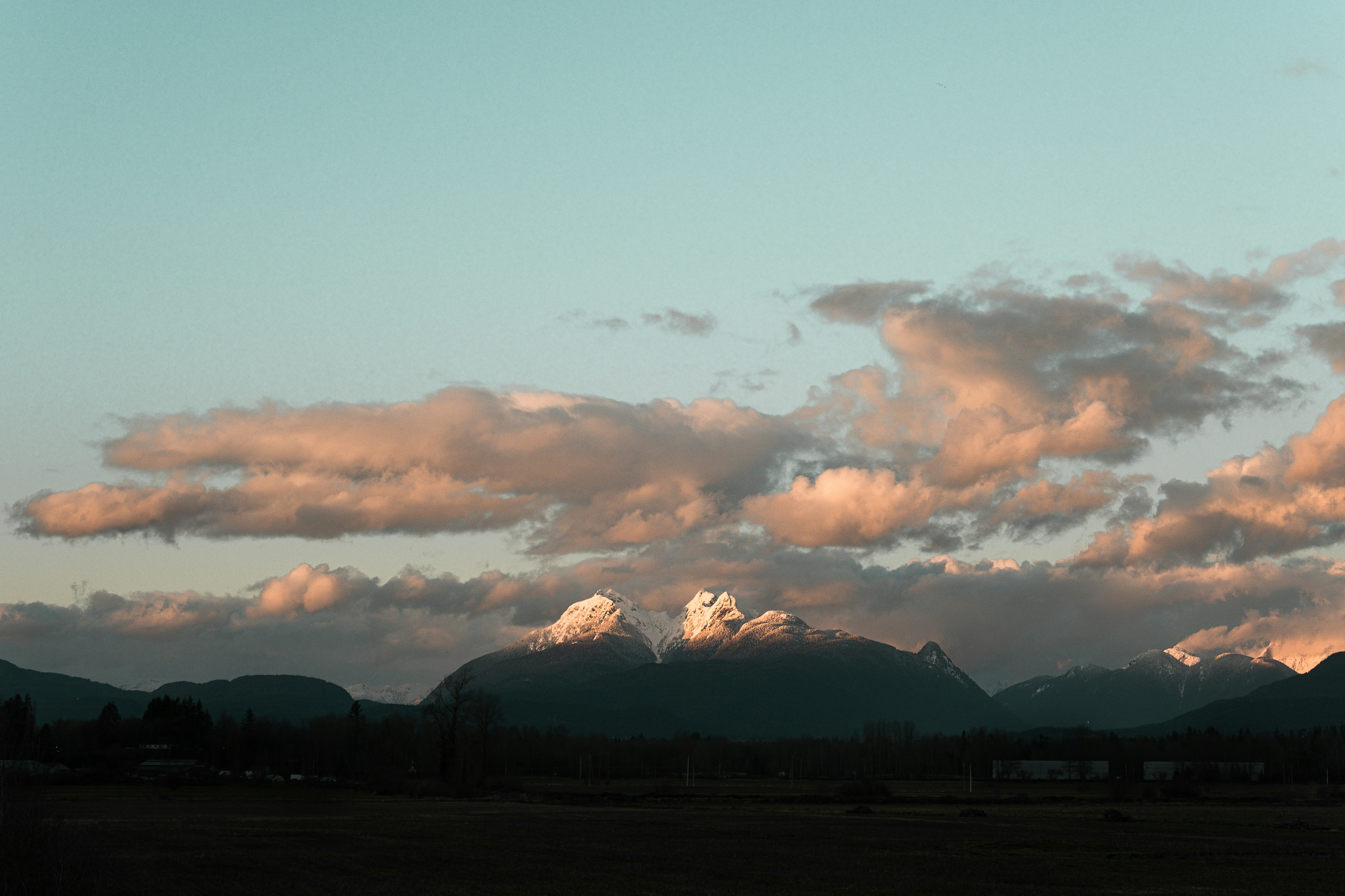 silhouette of trees under cloudy sky during daytime