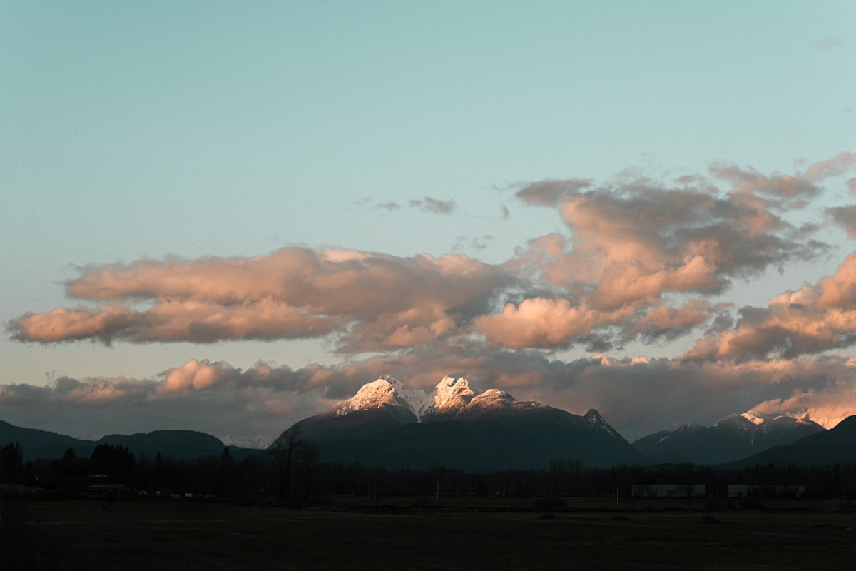 Langley Real Estate: Buyer's Market Heats Up