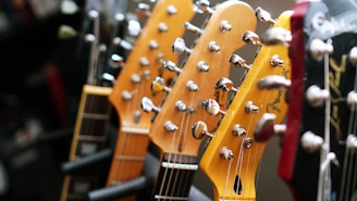 brown and black electric guitar