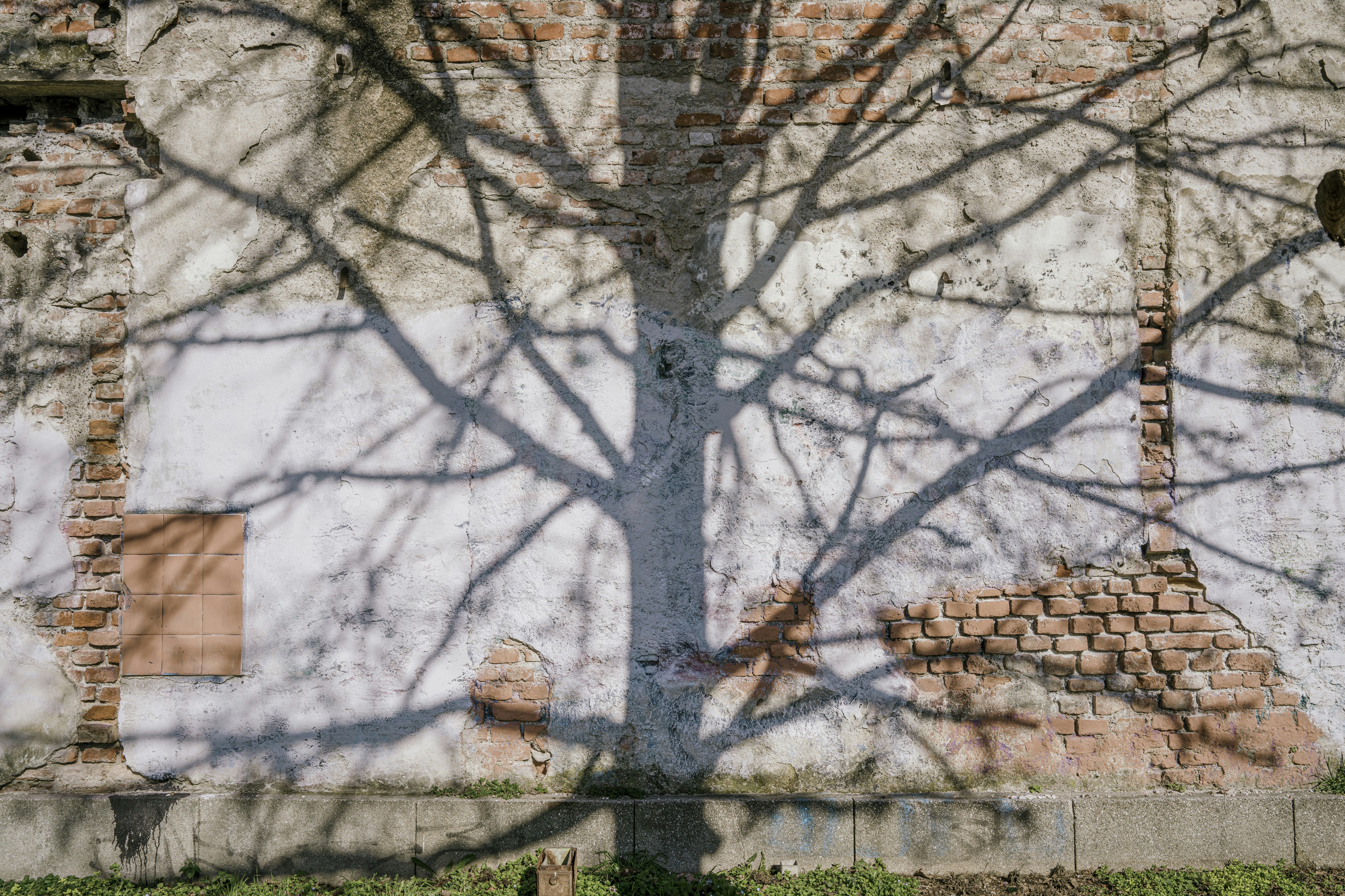 Photo by mickdepaola