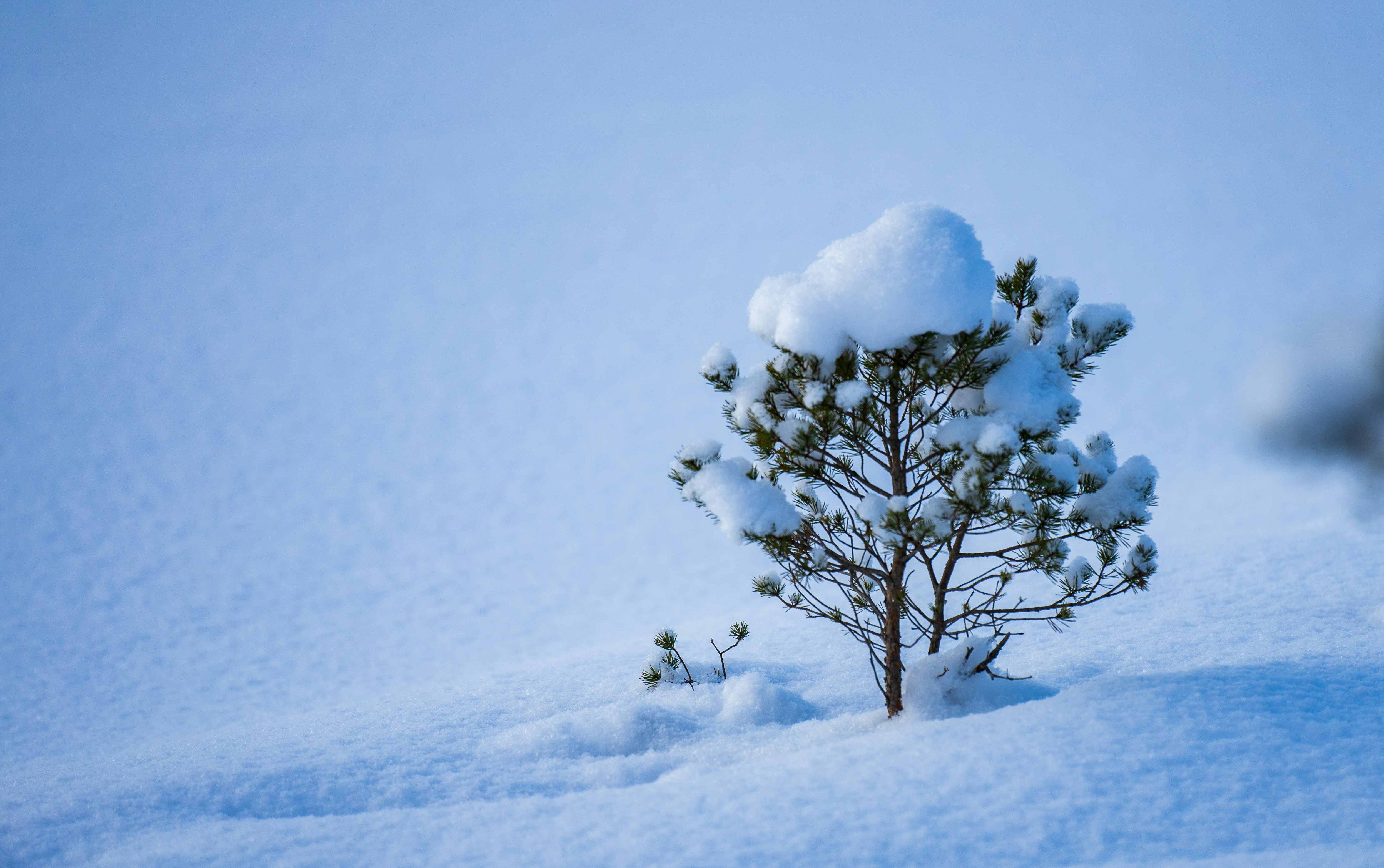 Photo by sergejs_horoshman