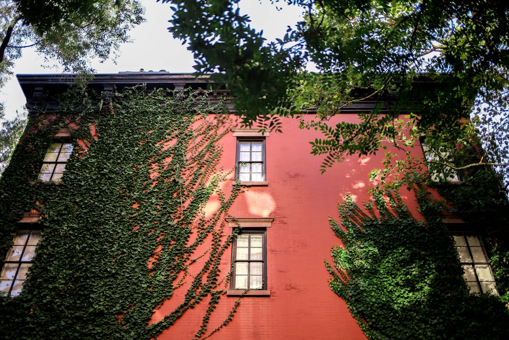 brown concrete building with green trees