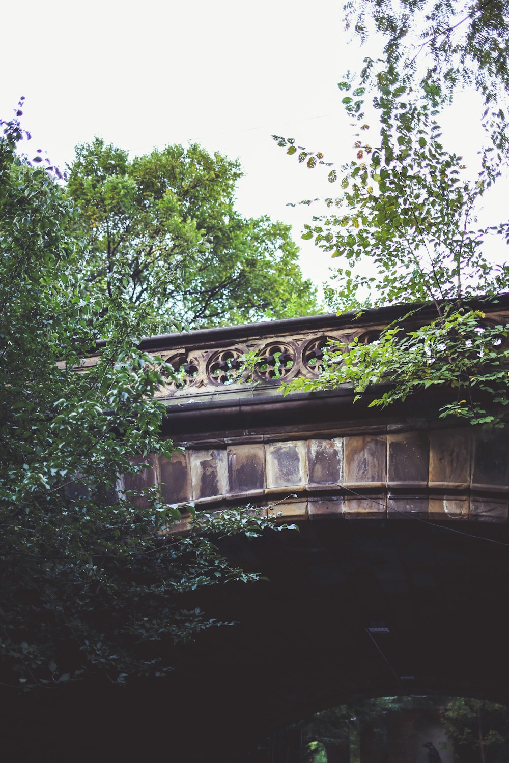 green trees near brown concrete bridge during daytime