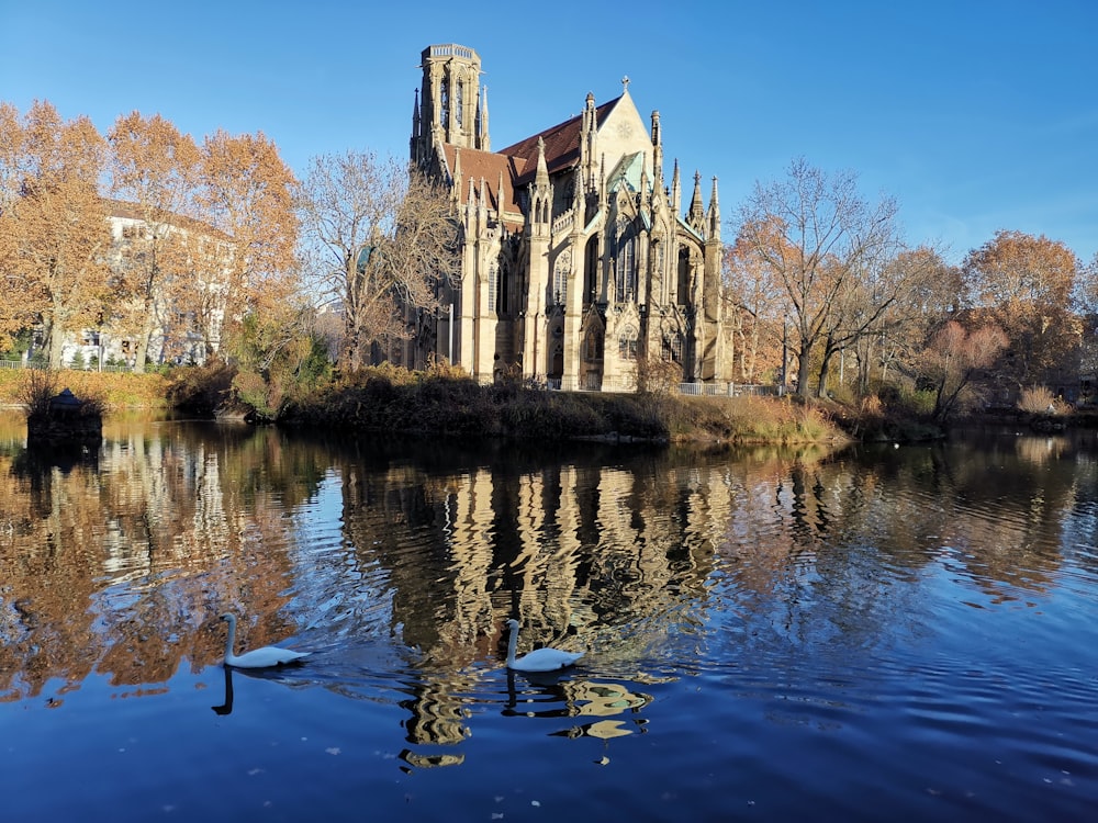 brown concrete building near body of water during daytime