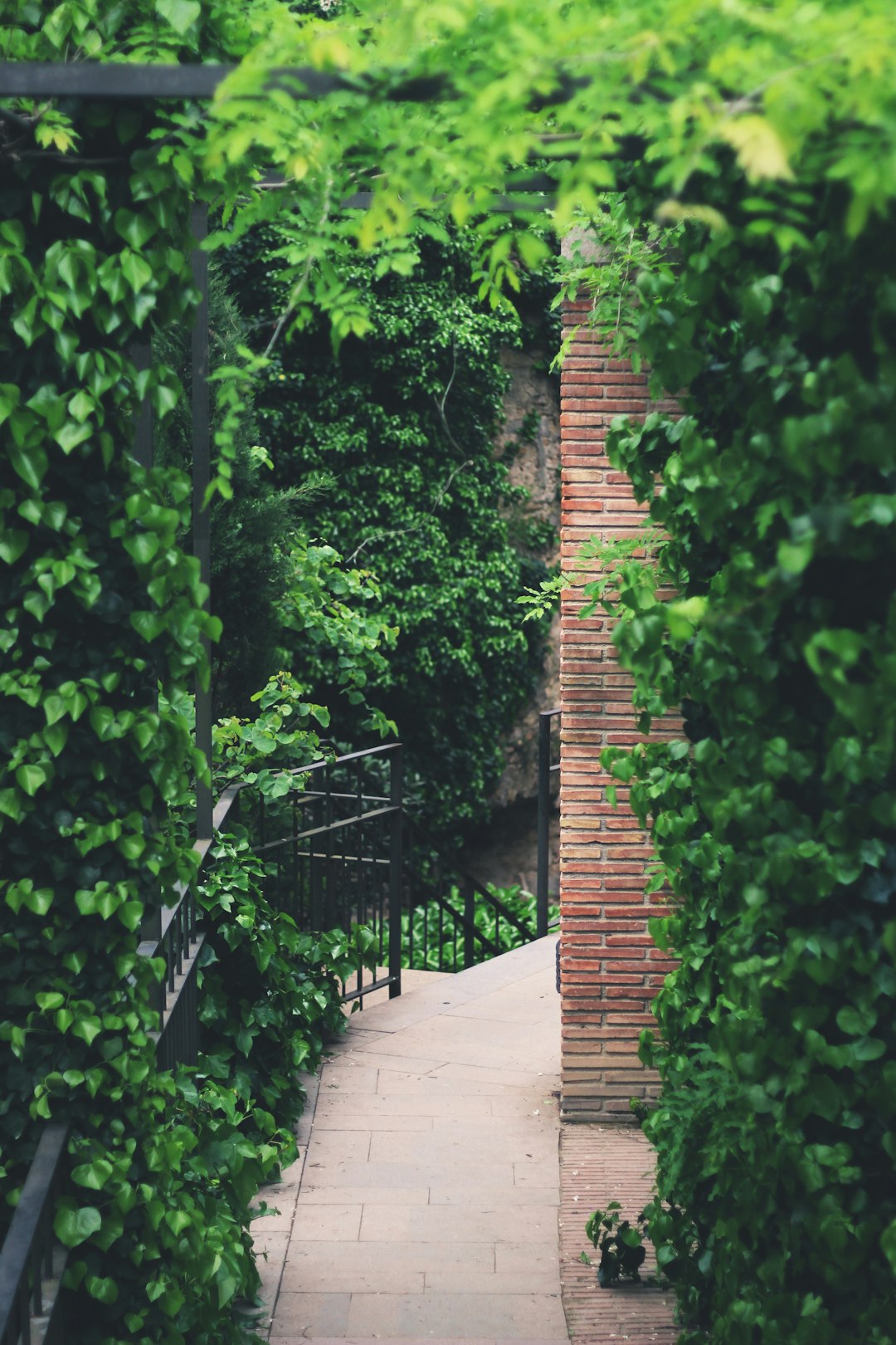 brown brick wall near green trees during daytime