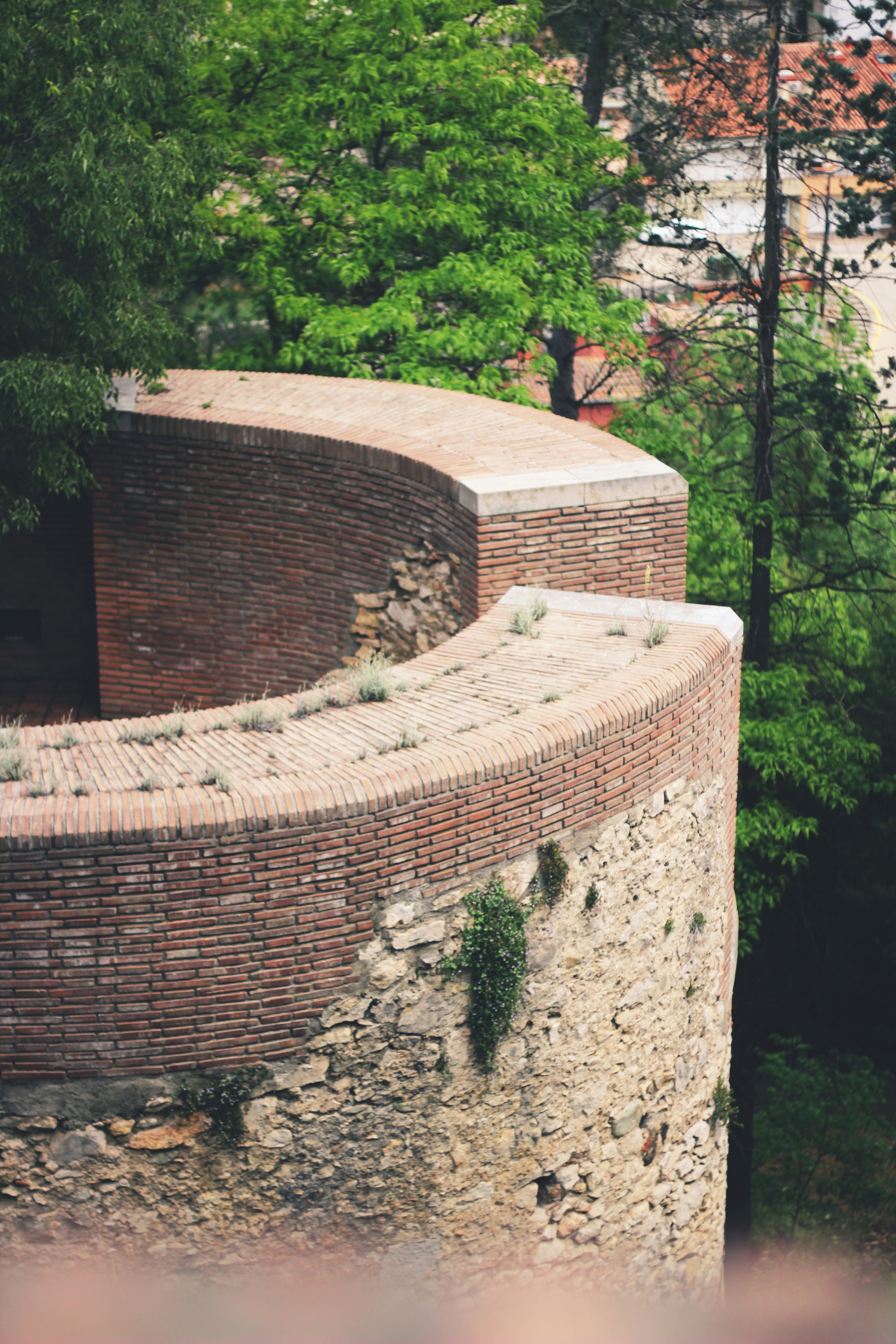 brown brick wall near green trees during daytime