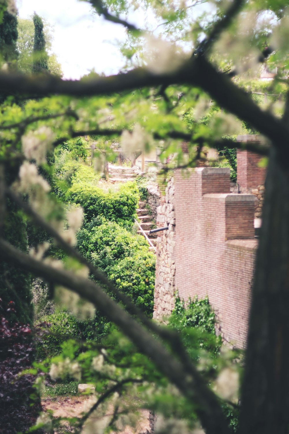 green trees near brown brick wall