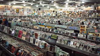 A large record store filled with rows of vinyl records and CDs. Shelves display various album covers in diverse genres, and the walls are covered with posters. Several people browse through the collection.