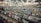 A large record store filled with rows of vinyl records and CDs. Shelves display various album covers in diverse genres, and the walls are covered with posters. Several people browse through the collection.
