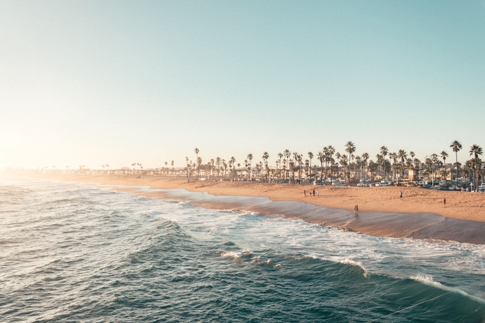 people on beach during daytime