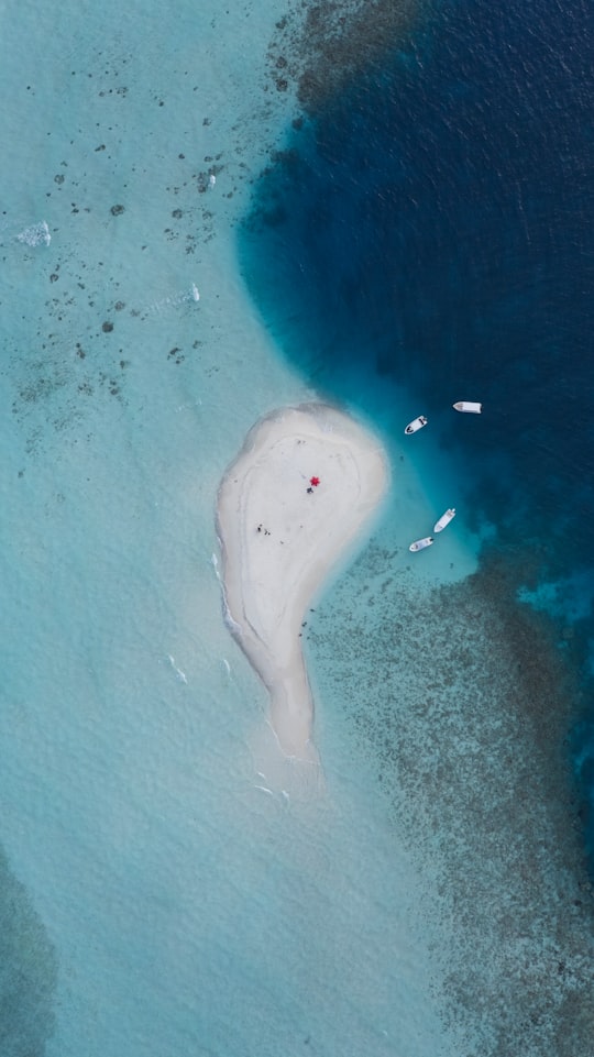 aerial view of people on beach during daytime in Dhiffushi Maldives