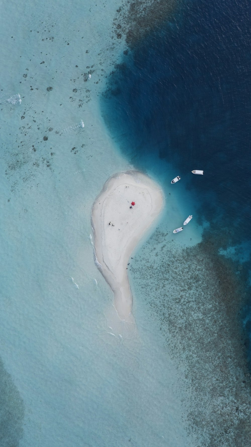 aerial view of people on beach during daytime