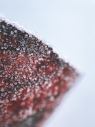 Close-up of molecular dynamics simulation visualizing antifreeze protein interactions.