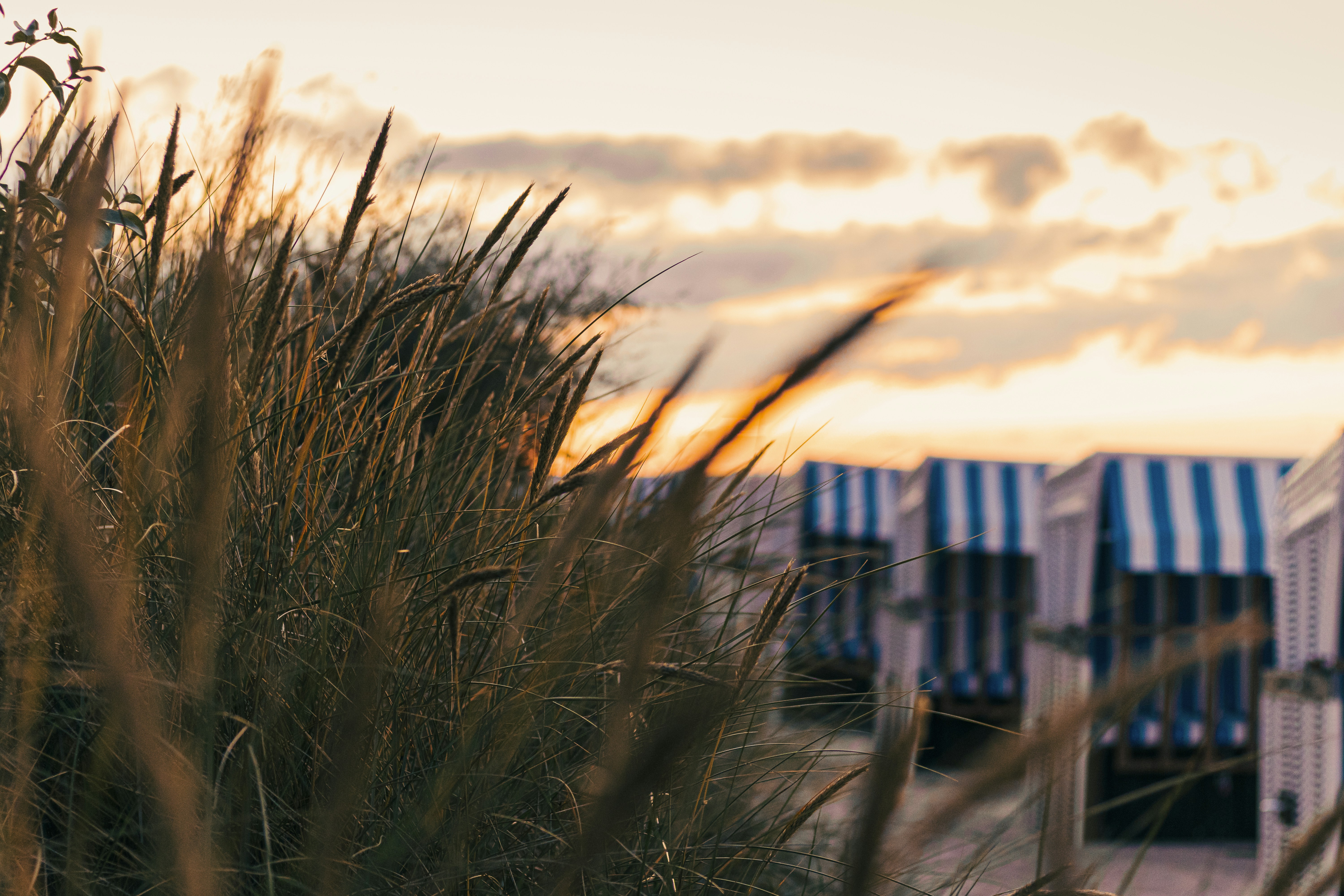 Foto von Matthias Pens auf Unsplash