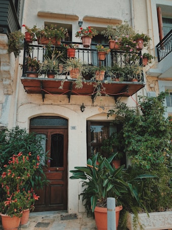 A charming balcony adorned with an array of potted plants, featuring a variety of vibrant flowers and lush greenery. Below, a wooden door is surrounded by more pots overflowing with plants, creating a cozy and vibrant atmosphere. The overall aesthetic is rustic and welcoming, with the exterior wall's light color complementing the natural elements.