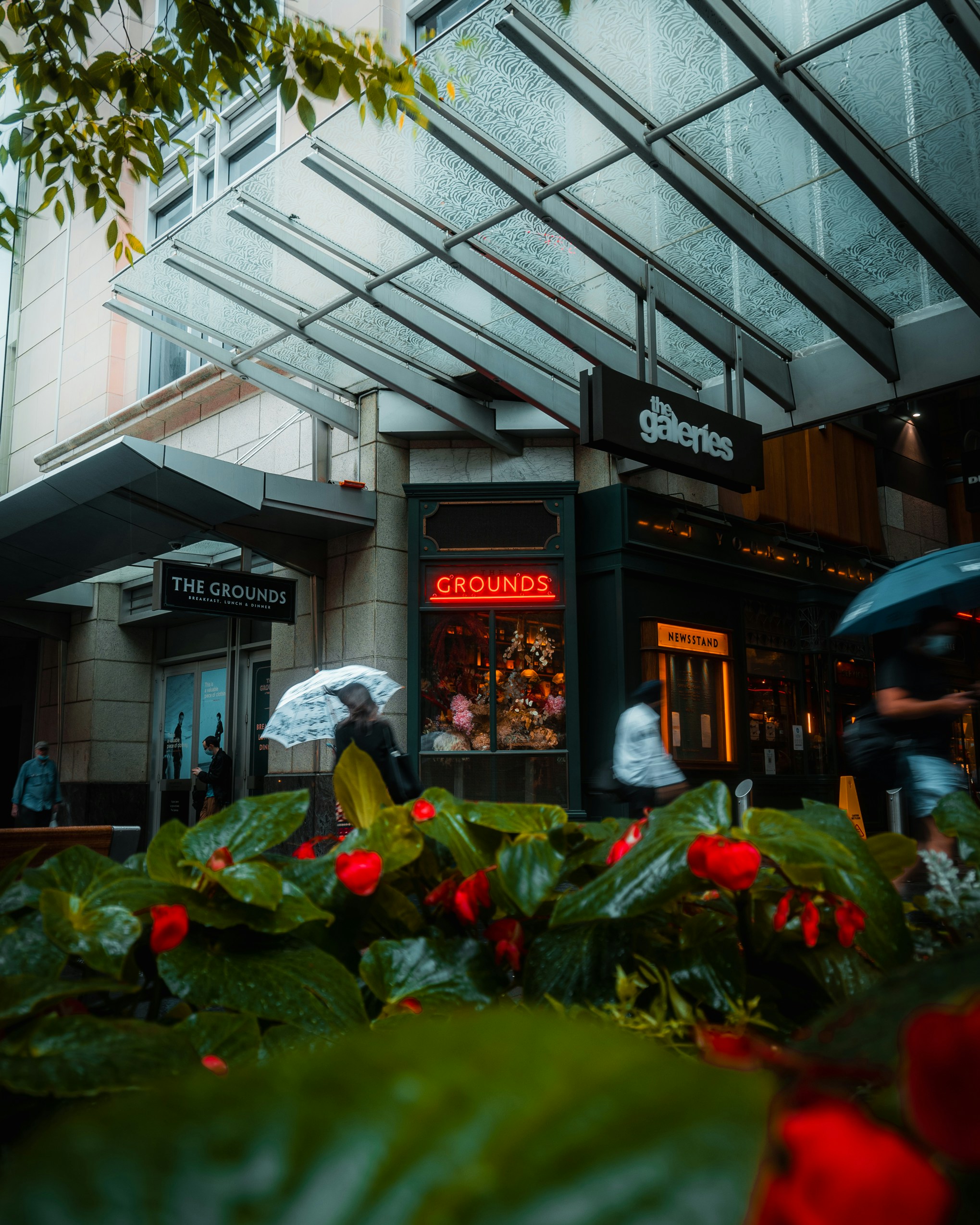 green plants in front of store during daytime