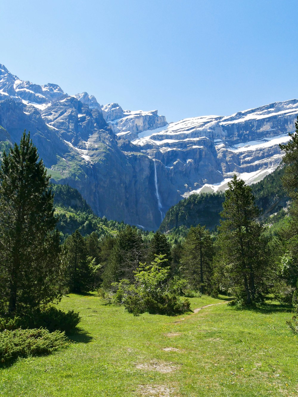 green pine trees near mountain during daytime