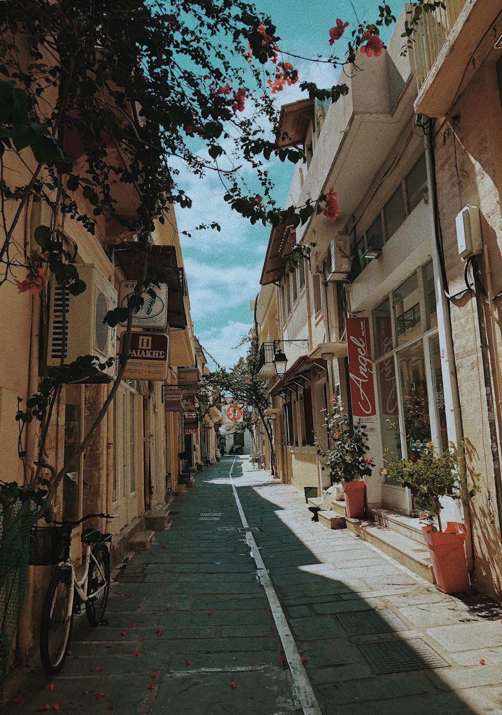 people walking on street between buildings during daytime