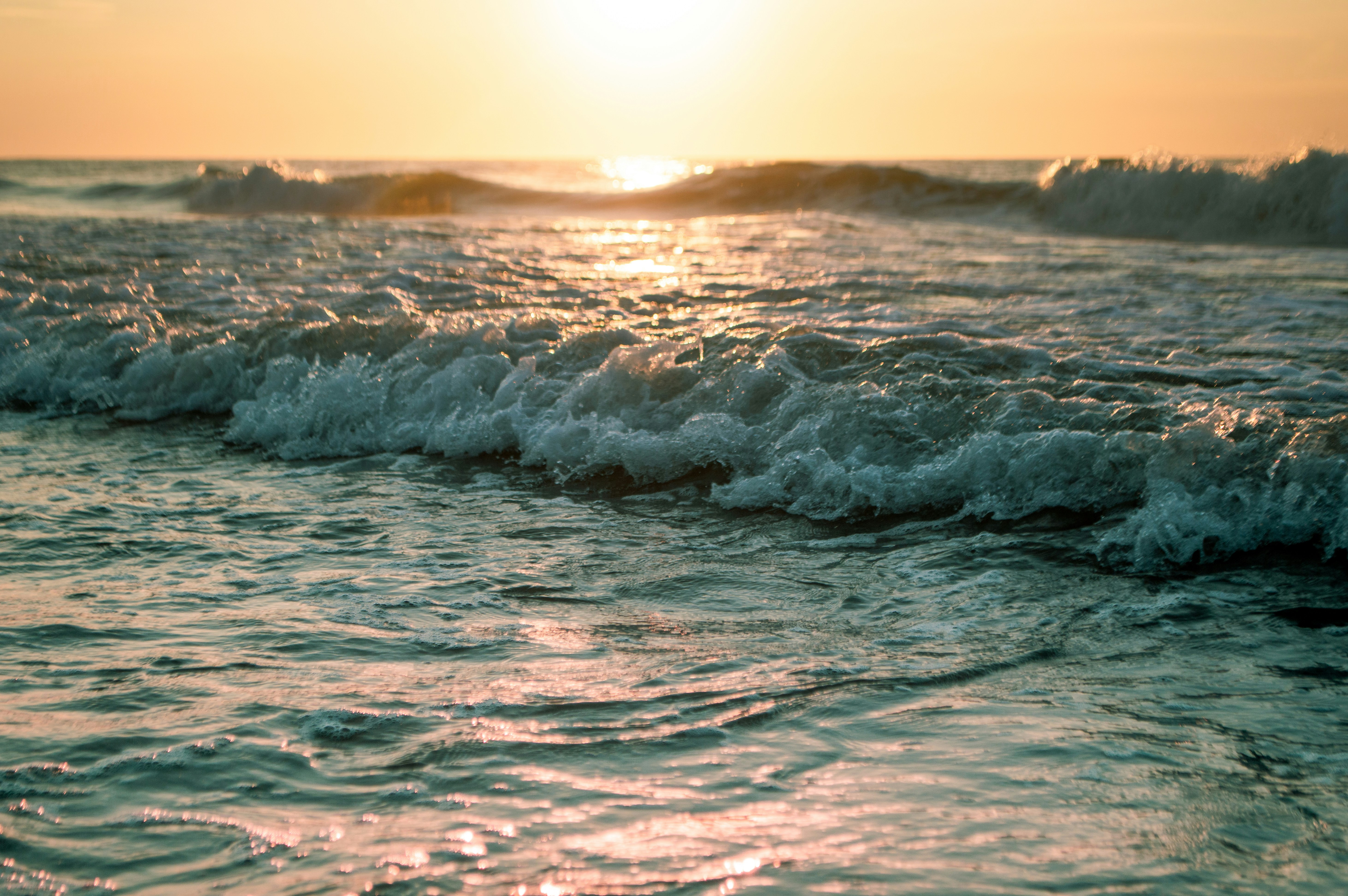 Photo by masonwildfang