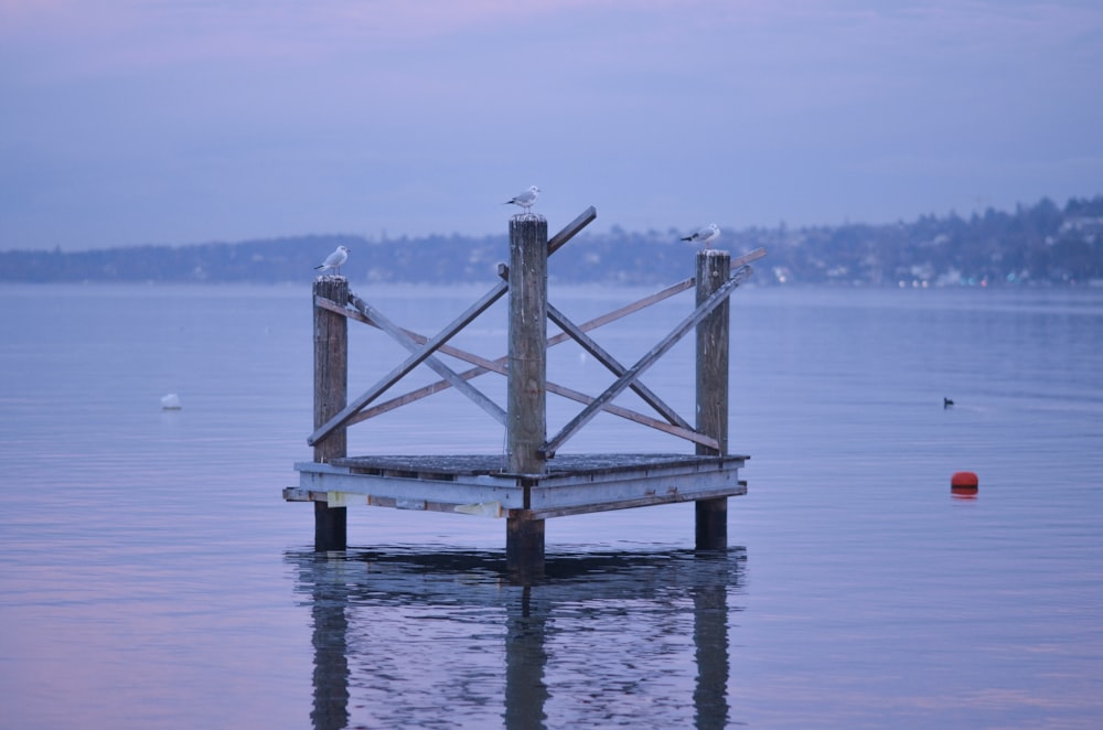 brown wooden dock on body of water during daytime