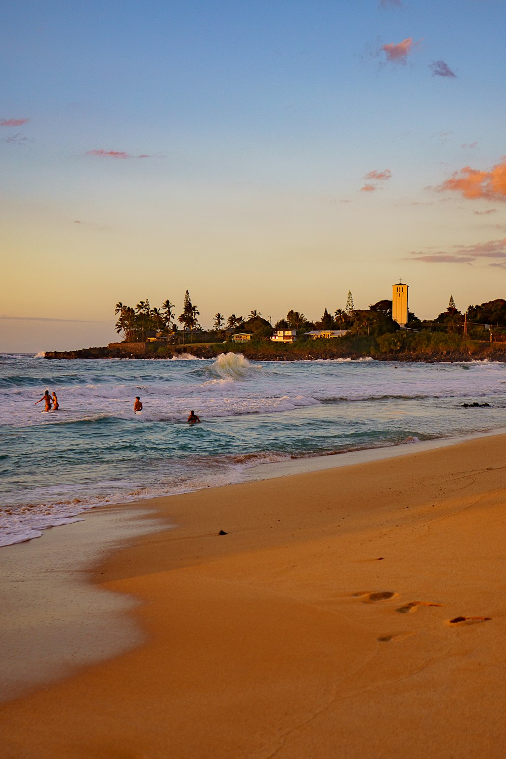 people on beach during daytime