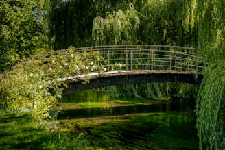brown wooden bridge over river