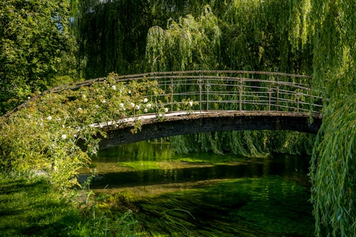 brown wooden bridge over river