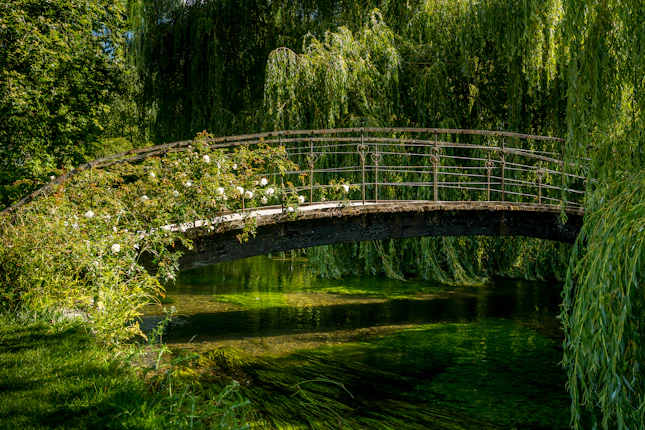brown wooden bridge over river