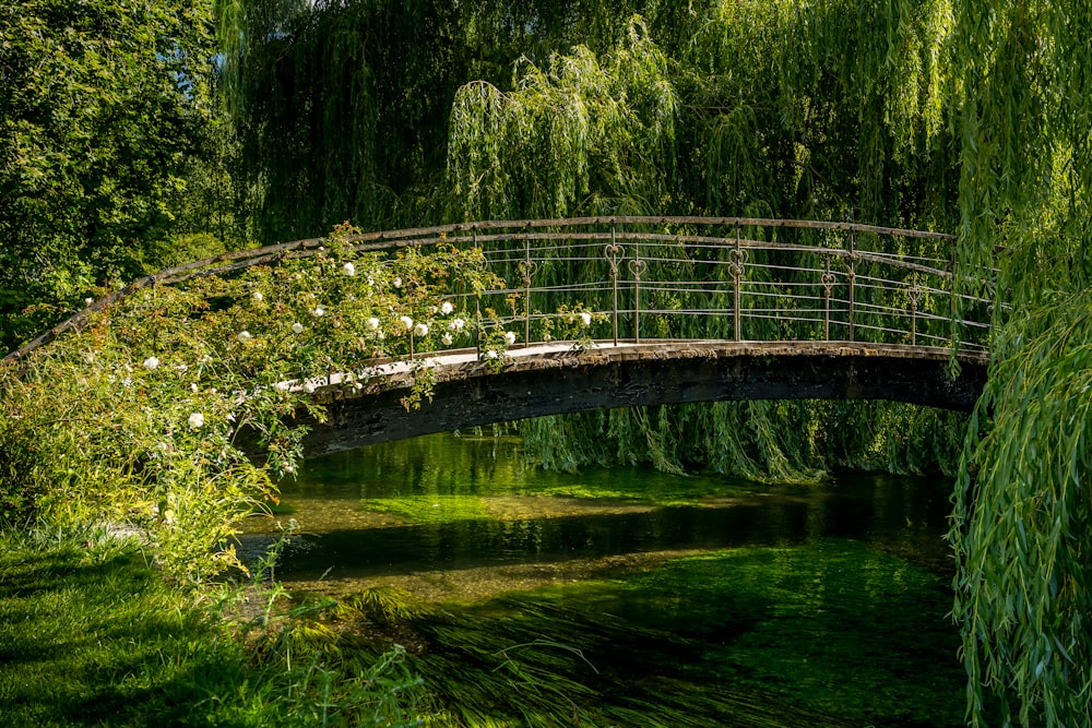 Braune Holzbrücke über den Fluss