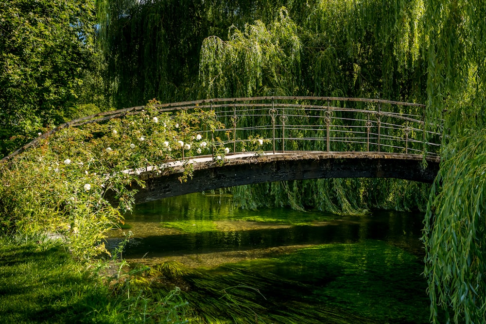 Puente de madera marrón sobre el río