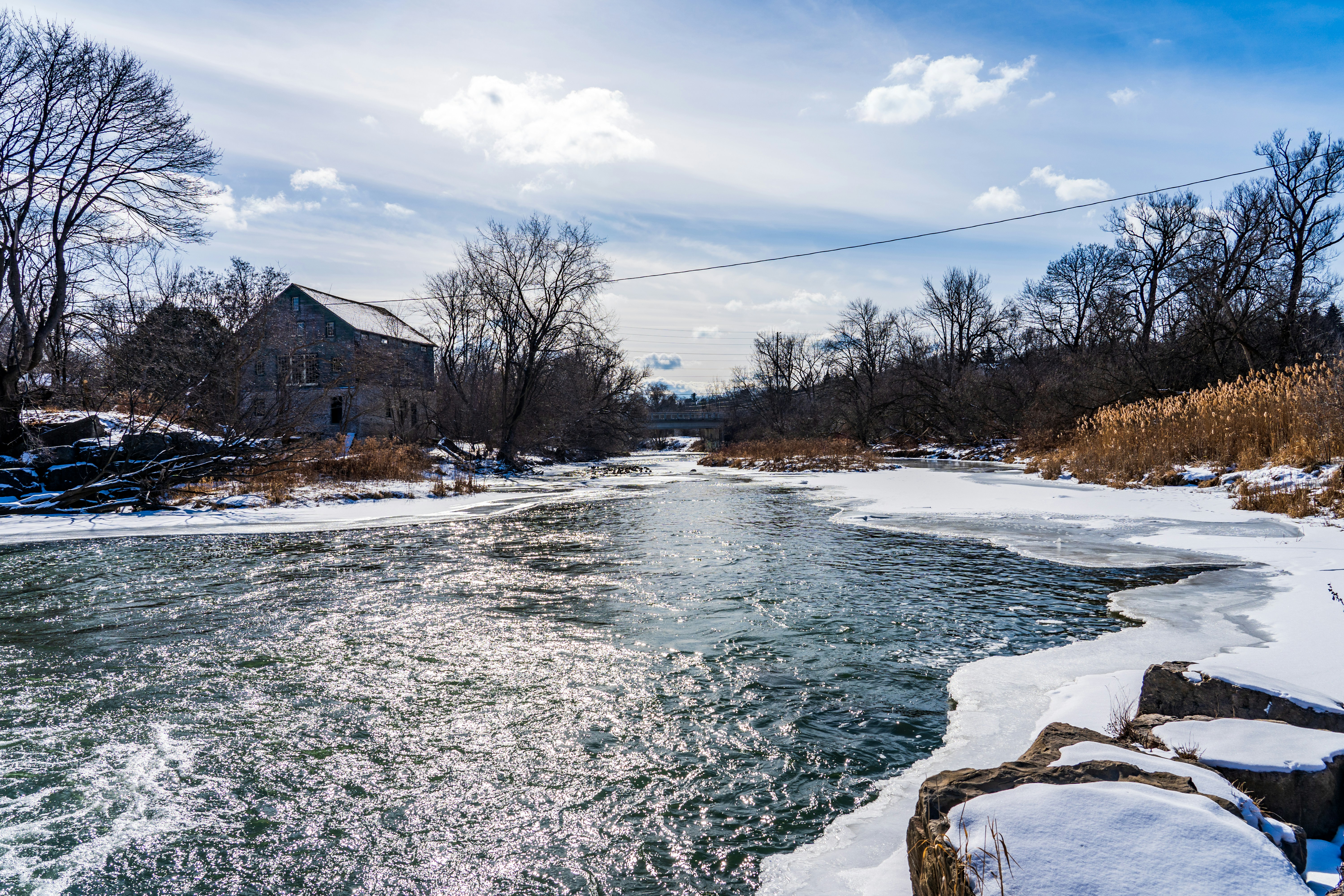 snow covered ground near bare trees under blue sky during daytime