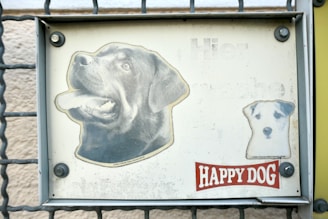 A metal sign attached to a gate features two printed dog images. The larger image depicts a black Labrador with its mouth open, and the smaller image shows a white dog with black spots. The background is off-white and appears slightly weathered. Below the images, there is a red and white label that reads 'HAPPY DOG'.